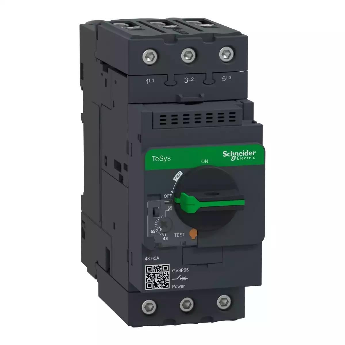 TeSys GV3-Circuit breaker-thermal-magnetic - 48…65A - EverLink BTR connectors