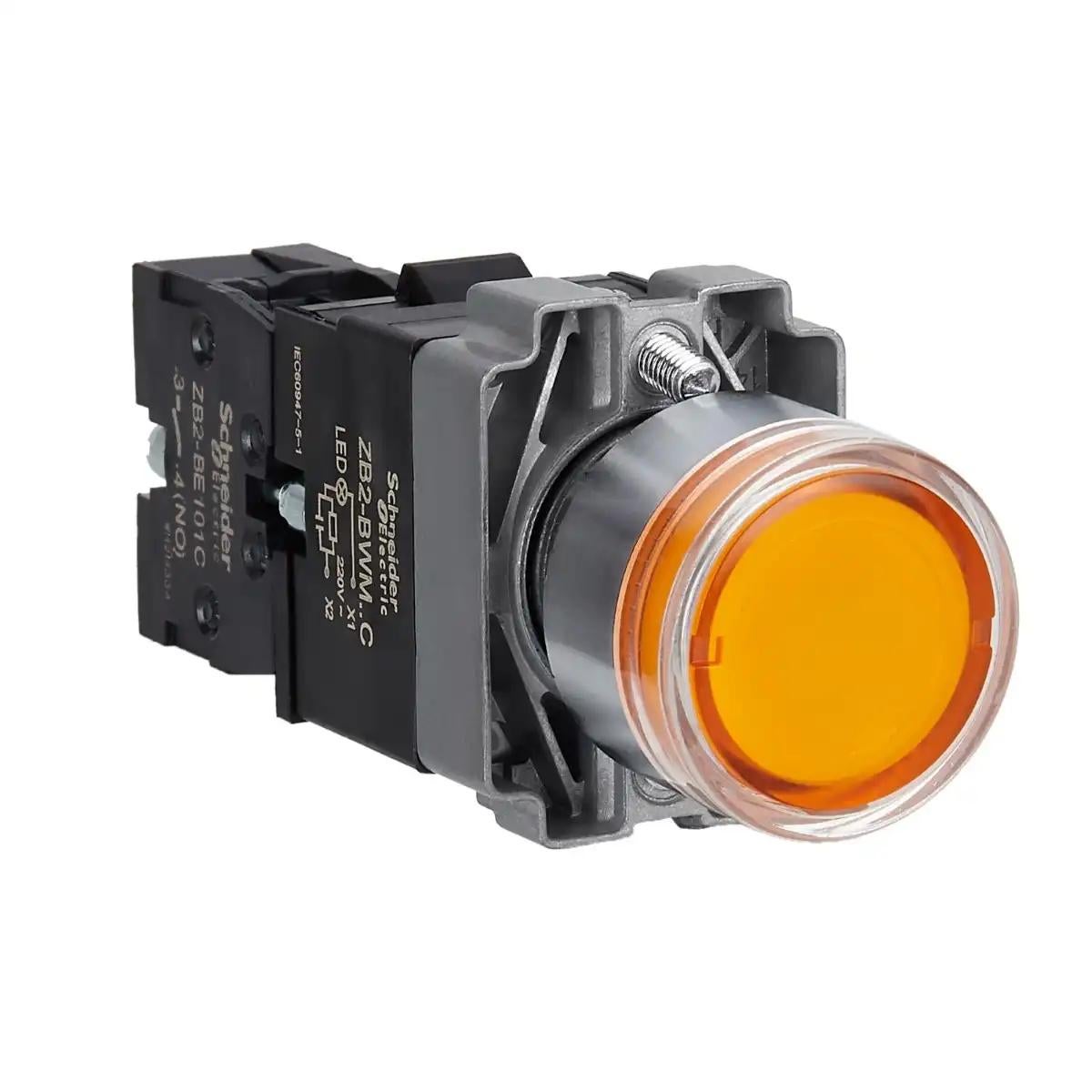 XB2BW35M1C+XB2BW35M1C