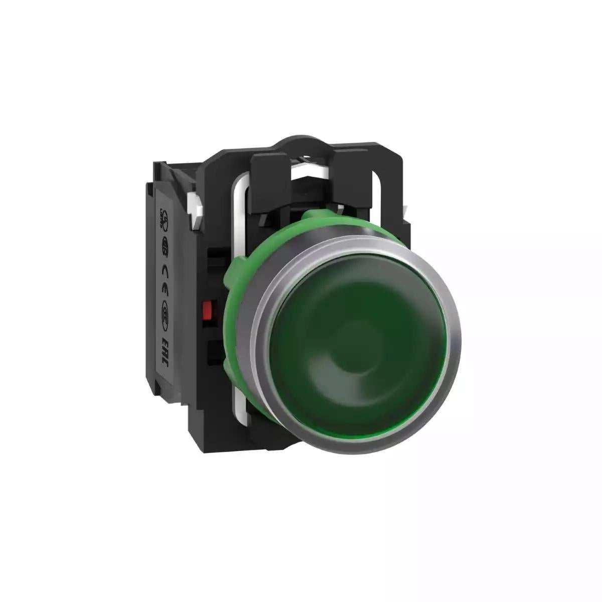 Illuminated push button, Harmony XB5, plastic, green flush, 22mm, universal LED, plain lens, 1NO + 1NC, 24V AC DC